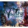 SASHA / サシャ / Fundacion NYC