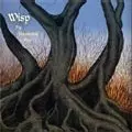 WISP / Shimmering