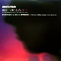V.A. (A TRIBUTE TO ARTHUR RUSSELL) / Arthur Russell Interpretation 2009