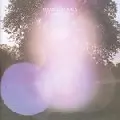MEANDERTHALS (IDJUT BOYS & RUNE LINDBAEK) / Desire Lines
