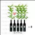 NO.9 / http://9-9-9-9-9.com 