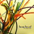 BIG BUD / ビッグ・バド / Connections LP