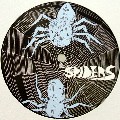 SPIDERS (DRUM & BASS) / Spiders
