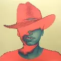 SETH TROXLER / セス・トロホラー / Panic, Stop, Repeat!