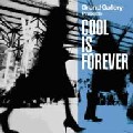 V.A.(NIEVE & COOK,SOUND PROVIDERS,LONGEVITY CREW...) / Cool Is Forever