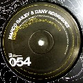 MARCO BAILEY & DANY RODRIGUEZ / Vision