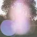 MEANDERTHALS (IDJUT BOYS & RUNE LINDBAEK) / Desire Lines
