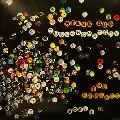 STEVE BUG / スティーヴ・バグ / Collaboratory Remixes Vol.1