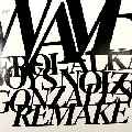 EROL ALKAN & BOYS NOIZE / Waves (Chilly Gonzales Piano Remake)/Remaking Waves