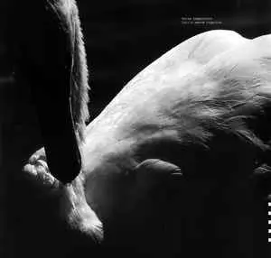 PETRE INSPIRESCU / ペトレ・インスピレスク / Intr-o seara organica...