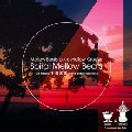 DJ 平岩 克規 / Spiral Mellow Beats