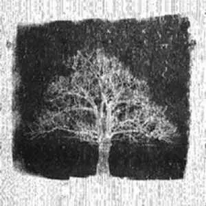 MIDLAKE / ミッドレイク / Roscoe