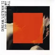 SKREAM / スクリーム / Listenin'To The Records On My Wall