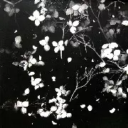 KETTENKARUSSELL / Things Will Never Flange 