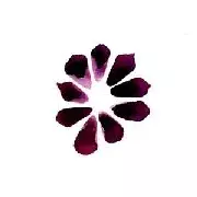 FABRIZIO MAURIZI / Chronicles