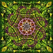 V.A.(PEAKING GODDESS COLLECTIVE,YAB-YUM,DIGITAL TALK & SEB...) / Peaking In Tongues