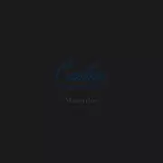 CALM MOONAGE ELECTRIC QUARTET / Music is Ours