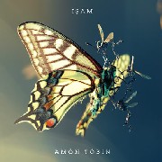 AMON TOBIN / アモン・トビン / Isam
