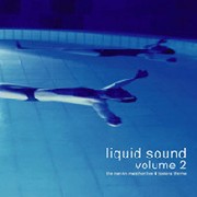 V.A.(PROJECT INTER.COM,TOM VAN DRAFT,ARCANUM & OTARION...) / Liquid Sound Volume 2 