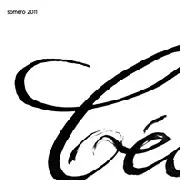 V.A.(MATTHEW DEKAY & LEEBURRIDGE,PIRUPA,G-ROM & JEF K & GWEN MAZE,...) / Somero 2011