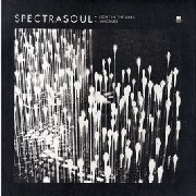 SPECTRASOUL / Light In The Dark/Shackles 