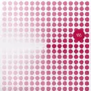 FRANK LEICHER / What Is The Reason Why