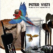 PETER VISTI / Illusions In A Twisted Mind 