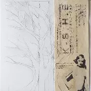 テーリ・テムリッツ　上作延ハウス・エクスプロージョン　ルーツではなくルート Routes Not Roots/ルーツではなくルート/KAMI-SAKUNOBE HOUSE