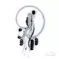 JUZU A.K.A. MOOCHY / Juzu Presents Movement EP1