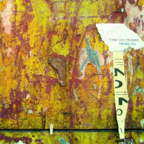 PETER VAN HOESEN / ピーター・ヴァン・ホーセン / Entropic City