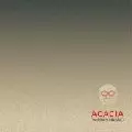 YOSHIHIRO HANNO / 半野喜弘 / Acacia