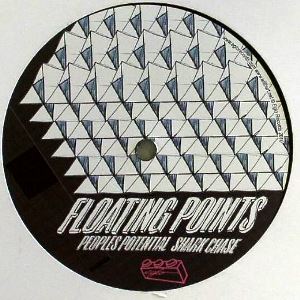FLOATING POINTS / フローティング・ポインツ / People's Potential