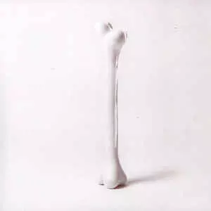MORITZ VON OSWALD TRIO / モーリッツ・フォン・オズワルド・トリオ / Restructure 2