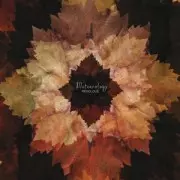 FRIVOLOUS / Meteorology (国内仕様盤)