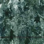 VOICES FROM THE LAKE / ヴォイシズ・フロム・ザ・レイク / Voices From The Lake