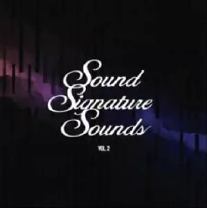 セオパリッシュ Sound Signature レコード 2枚組 Artist: THEO PARRISH : Newtone Records
