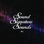 THEO PARRISH / セオ・パリッシュ / Sound Signature Sounds Vol.2 (国内仕様盤)
