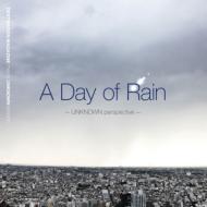 V.A.(THROUGH TONE,9DW,HIROSHI WATANABE...) / A Day Of Rain - UNKNOWN perspective -