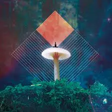 MAGICAL MISTAKES / Everything Uncertain