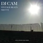 【DJ CAM】VINTAGE BEATS 1999-2003 レコード Vintage Beats (1999-2003)/DJ CAM/DJカム｜CLUB/DANCE｜ディスク