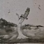 SEKITOVA / Premature Moon And The Shooting Star
