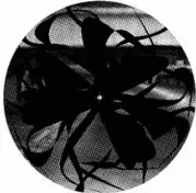 THEO PARRISH主催SOUND SIGNATUREからレコードサイズの2 WAY