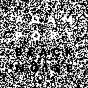 ADAM PORT / Black Noise