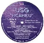 USG / Ncameu