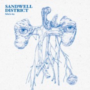 SANDWELL DISTRICT / サンドウェル・ディストリクト / Fabric 69