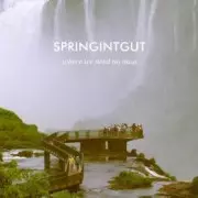 SPRINGINTGUT / Where We Need No Map