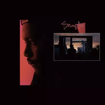 SAMPHA / サンファ / Dual EP