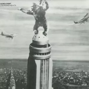 ECHOLOGIST / Storming Heaven (LP)