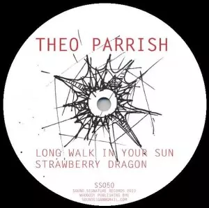 THEO PARRISH / セオ・パリッシュ / LONG WALK IN YOUR SUN 