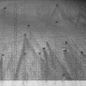 HUMBLE BEE / Henrietta